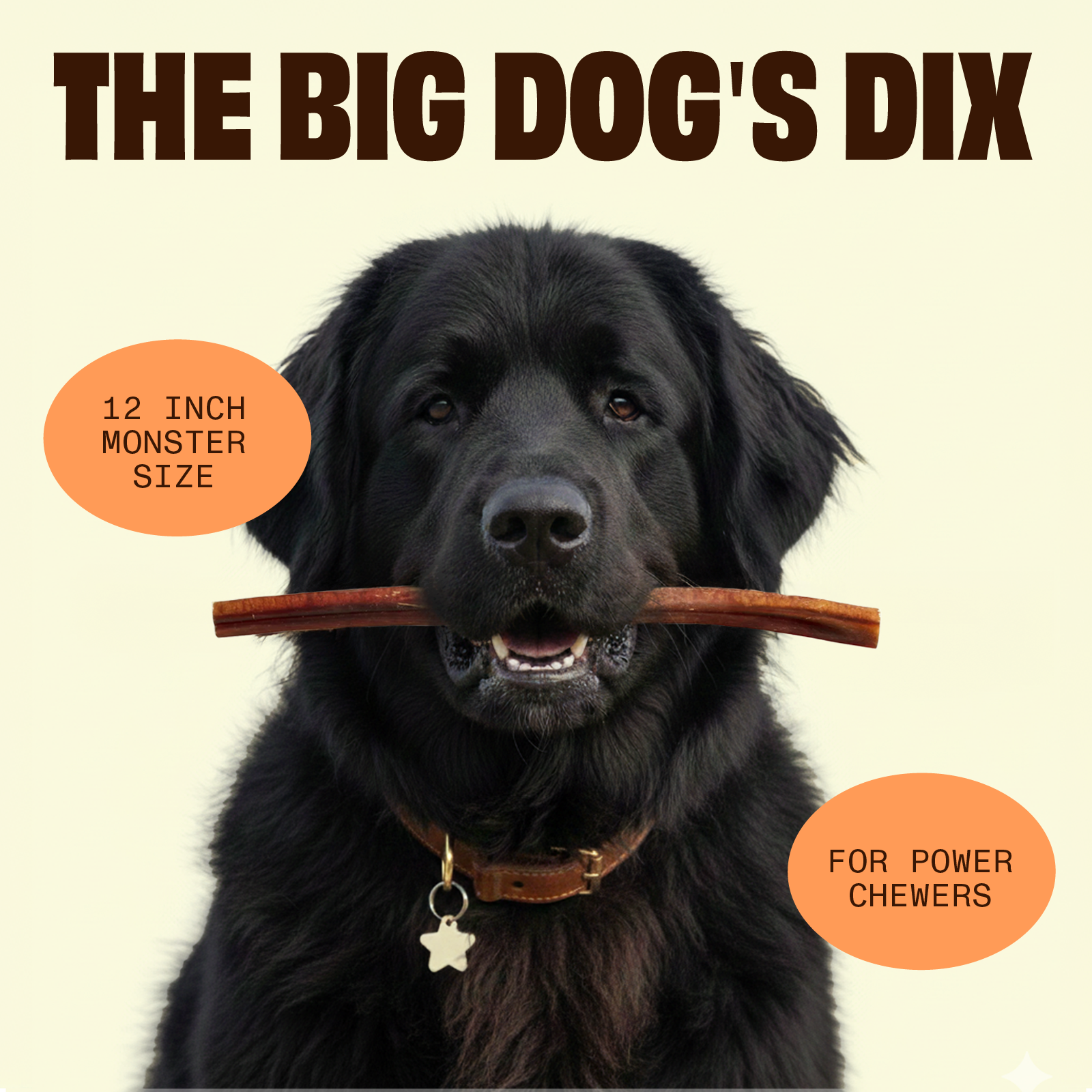 Monster 12 Inch Dix