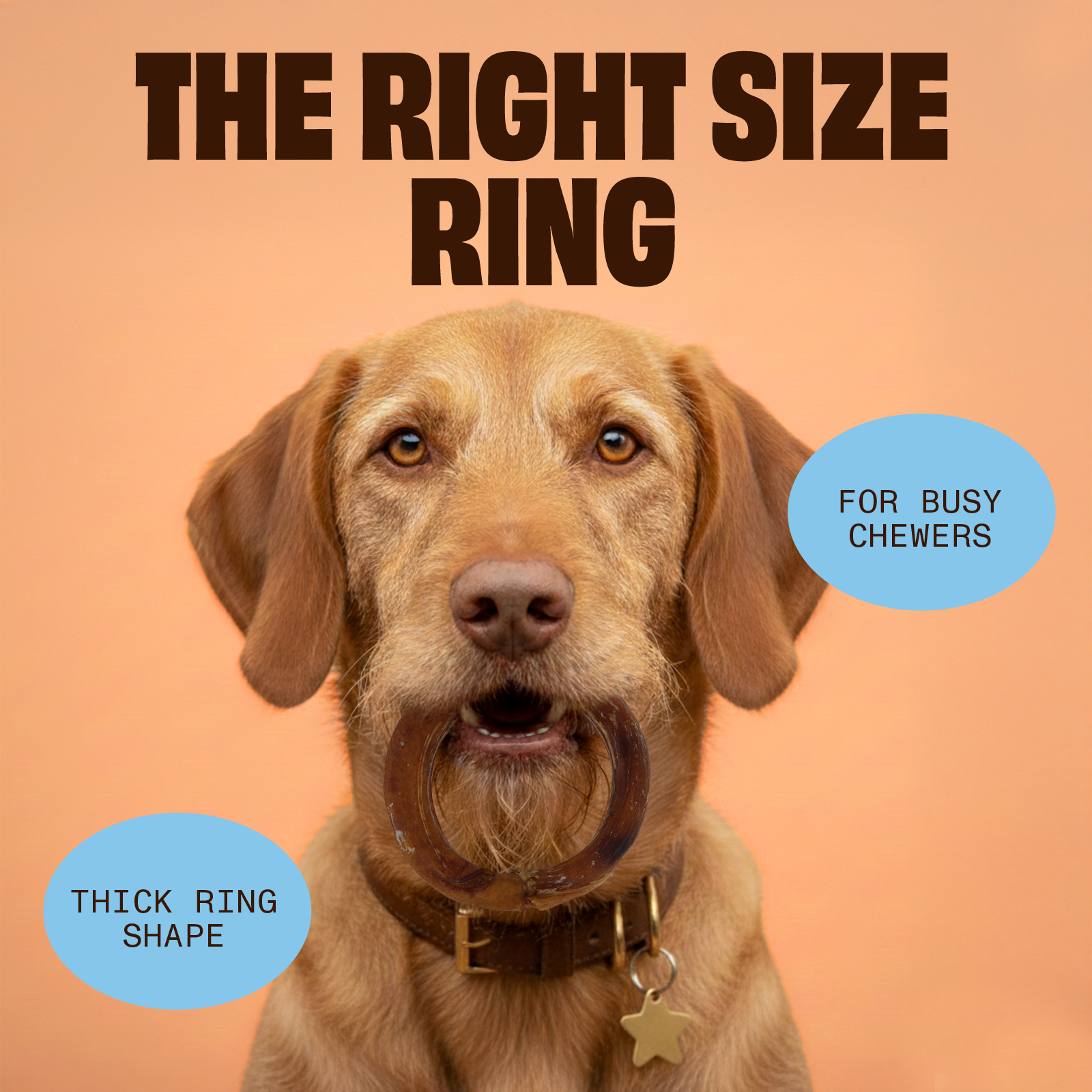 Big Dix Rings